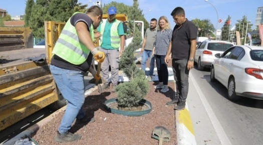EDİRNE DE PEYZAJ ÇALIŞMALARI DEVAM EDİYOR