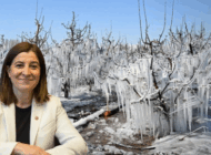 EDİRNE ÜRETİCİSİNE ZİRAİ DON DESTEĞİ 42 MİLYON TL