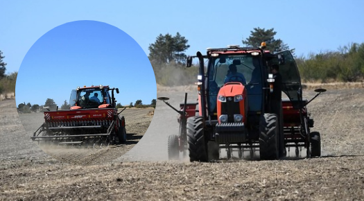 LALAPAŞA’DA KANOLA TOHUMU DAĞITIMI