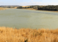 PROF. DR. ORTA’DAN SÜRDÜRÜLEBİLİR TARIM İÇİN SU ÖNERİSİ