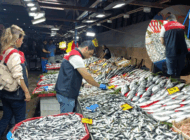 VATANDAŞIN SOFRASINA GÜVENLİ BALIK İÇİN DENETİM