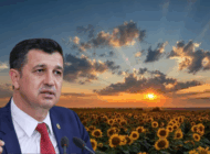 GAYTANCIOĞLU: AYÇİÇEĞİ ÜRETİCİSİNE DARBELER BİTMİYOR!