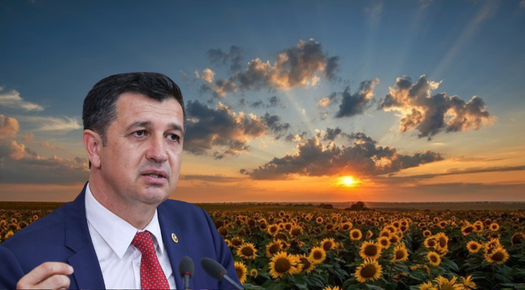 GAYTANCIOĞLU: AYÇİÇEĞİ ÜRETİCİSİNE DARBELER BİTMİYOR!