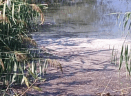 TAYAKADIN’DA DERE ÇÖPLÜK OLDU, HALK İSYANDA