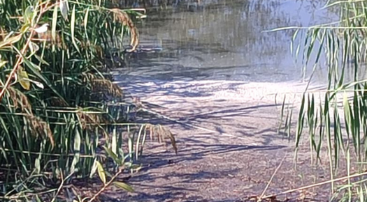 TAYAKADIN’DA DERE ÇÖPLÜK OLDU, HALK İSYANDA