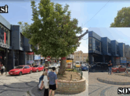 EDİRNE’DE RİSK OLUŞTURAN CEVİZ AĞACI KALDIRILDI