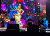 İPSALA GÜLBEN ERGEN KONSERİYLE RENKLENDİ