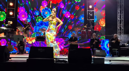 İPSALA GÜLBEN ERGEN KONSERİYLE RENKLENDİ