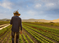 RESMİ GAZETE YAYIMLADI, ÇİFTÇİYE DESTEK MÜJDESİ!