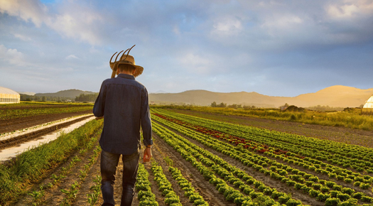 RESMİ GAZETE YAYIMLADI, ÇİFTÇİYE DESTEK MÜJDESİ!