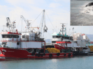 TEKİRDAĞ’DA POYRAZ DENİZ ULAŞIMINI AKSATTI