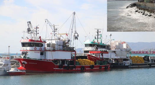 TEKİRDAĞ’DA POYRAZ DENİZ ULAŞIMINI AKSATTI