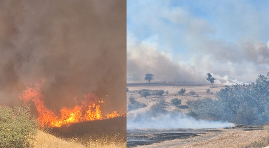 EDİRNE’DE ANIZ YANGINI BÜYÜMEDEN SÖNDÜRÜLDÜ