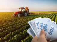 HAYVANCILIK DESTEKLERİ AÇIKLANDI: RESMİ GAZETE YAYIMLADI!