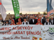 ALİBEY KÖYÜ’NDE FISTIK FESTİVALİ COŞKUSU
