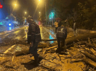 EDİRNE’DE RÜZGARIN ETKİSİYLE AĞAÇ DEVRİLDİ