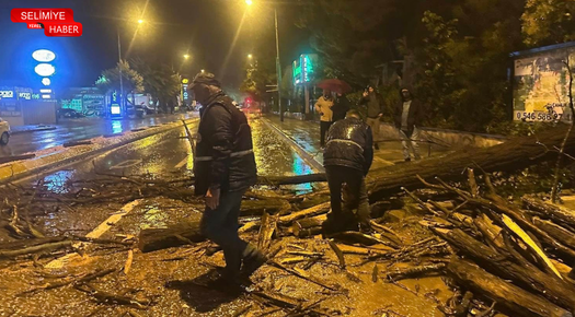 EDİRNE’DE RÜZGARIN ETKİSİYLE AĞAÇ DEVRİLDİ