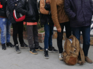 EDİRNE’DE 23 DÜZENSİZ GÖÇMEN YAKALANDI