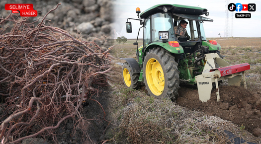 “EFSANE RENK” EDİRNE KIRMIZISININ HASADI YAPILDI