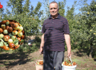 ÇİFTÇİLER ARAZİLERİNİ HÜNNAP ÜRETİMİYLE DEĞERLENDİRİYOR