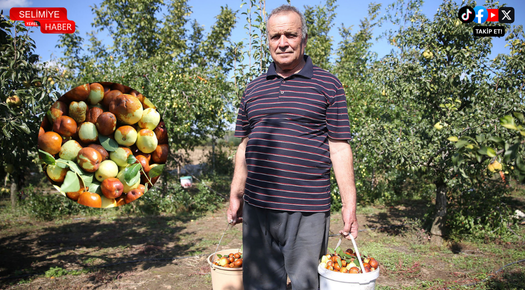 ÇİFTÇİLER ARAZİLERİNİ HÜNNAP ÜRETİMİYLE DEĞERLENDİRİYOR