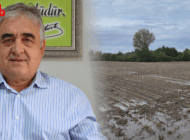 TRAKYA ÇİFTÇİSİ YAĞIŞLARLA MORAL BULDU