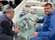 ENEZ’DE AĞLARA TAKILAN KEFAL BALIKÇILARI SEVİNDİRDİ