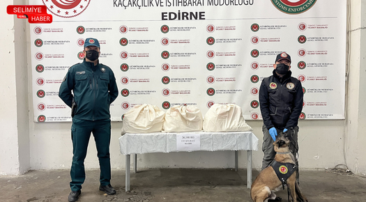 KAPIKULE’DE 36 KİLO 180 GRAM KOKAİN ELE GEÇİRİLDİ