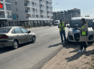 EGEDES İLE EGZOZ EMİSYON DENETİMİ