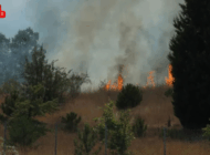 LÜLEBURGAZ’DA AĞAÇLIK ALANDA ÇIKAN YANGIN SÖNDÜRÜLDÜ