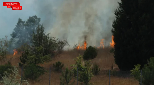 LÜLEBURGAZ’DA AĞAÇLIK ALANDA ÇIKAN YANGIN SÖNDÜRÜLDÜ