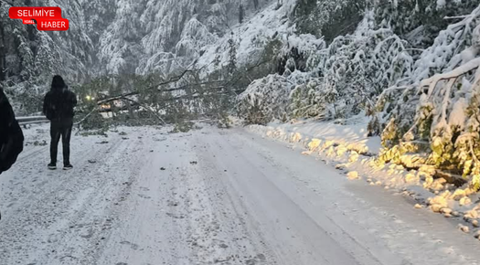 KOMŞUDA YOĞUN KAR YAĞIŞI HAYATI OLUMSUZ ETKİLEDİ!