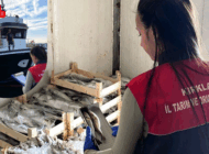 DEMİRKÖY’DE SU ÜRÜNLERİ DENETİMİ YAPILDI