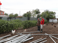 MÜDÜR KÖSE, SERA KURULUMU PROJESİ’NDE İNCELEMEDE