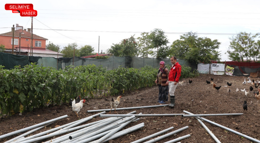 MÜDÜR KÖSE, SERA KURULUMU PROJESİ’NDE İNCELEMEDE