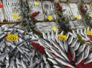 EDİRNE’DE BALIK FİYATLARI: ALTIN MI ALIYORUZ BALIK MI?