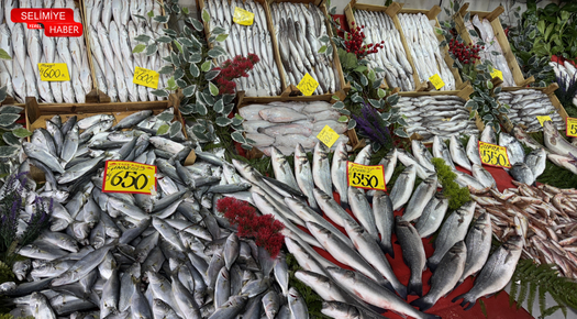 EDİRNE’DE BALIK FİYATLARI: ALTIN MI ALIYORUZ BALIK MI?