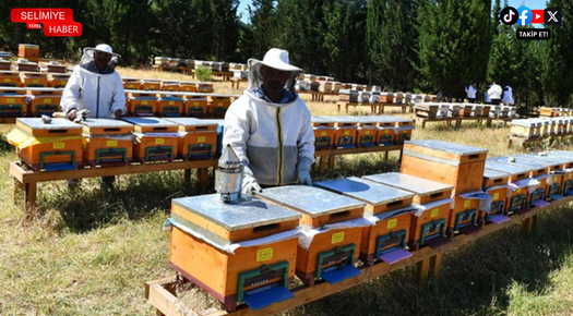 KIRKLARELİ’NDE ARICILIK KURSU AÇILACAK