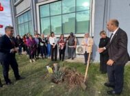 TÜ’DE ‘DÜNYA ZEYTIN AĞACI GÜNÜ” KUTLANDI