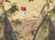 EDİRNE BELEDİYESİNDEN KÖPEK OLAYINA SORUŞTURMA