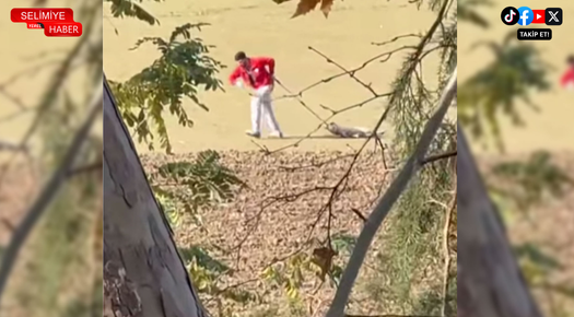 EDİRNE BELEDİYESİNDEN KÖPEK OLAYINA SORUŞTURMA