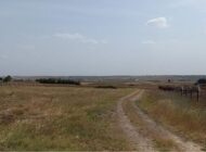 ARSASI OLANLAR İÇİN YENİ DÖNEM %90 DEVLETE GEÇECEK…