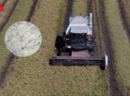 İPSALA PİRİNCİ AB TESCİLİ ALDI