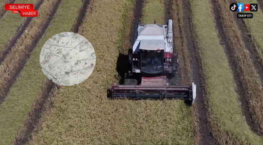 İPSALA PİRİNCİ AB TESCİLİ ALDI