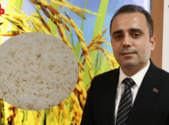 İPSALA PİRİNCİ AB TESCİLİYLE DÜNYA MARKASINA YÜRÜYOR