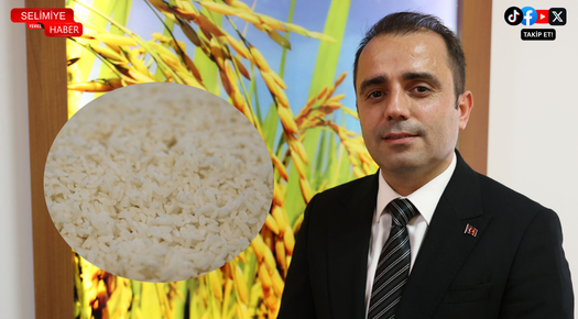 İPSALA PİRİNCİ AB TESCİLİYLE DÜNYA MARKASINA YÜRÜYOR