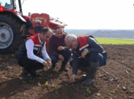 EDİRNE’DE BUĞDAY İÇİN ÜÇ EKİM YÖNTEMİ TEST EDİLECEK