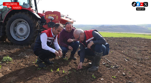 EDİRNE’DE BUĞDAY İÇİN ÜÇ EKİM YÖNTEMİ TEST EDİLECEK