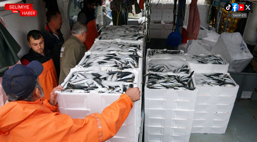 TEKİRDAĞ’DA BALIKÇILAR 600 KASA İSTAVRİTLE DÖNDÜ