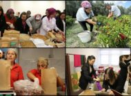 TRAKYA’DA KOOPERATIF KURAN KADIN ÜRETİCİLERE DAHA FAZLA DESTEK